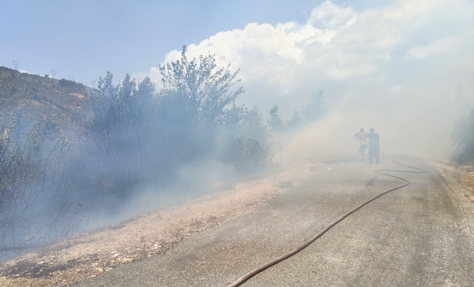 İzmir’de ormanlık ve makilik alanda yangın çıktı