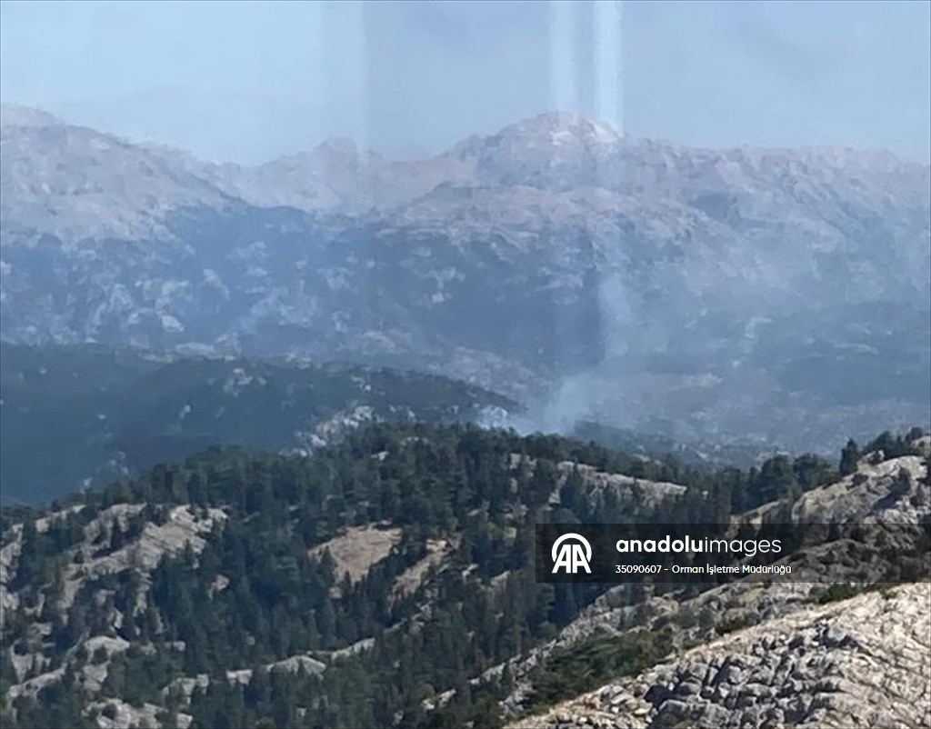 Antalya’nın Akseki ilçesinde orman yangını çıktı