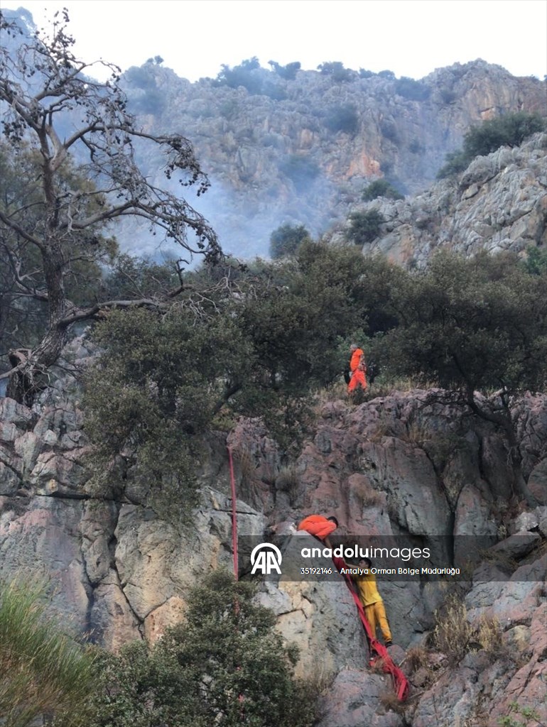 Antalya’da ormanlık alanda yangın çıktı
