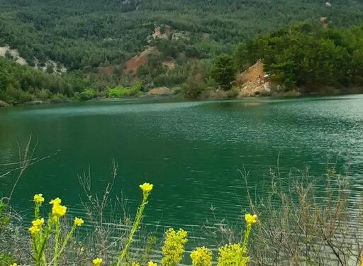 Bursa’da sazlıkta mahsur kalan kişi kurtarıldı