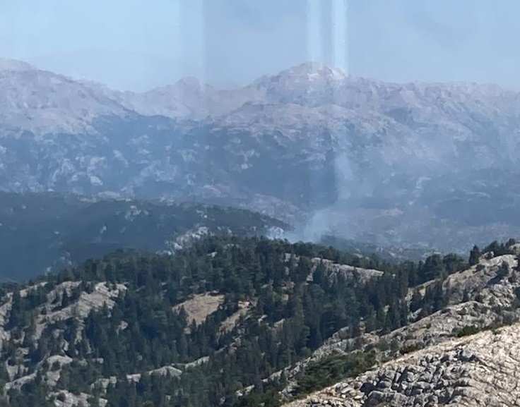 Antalya’nın Akseki ilçesinde çıkan orman yangını kontrol altında