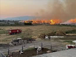 Kağıt fabrikasındaki yangına müdahale ediliyor 