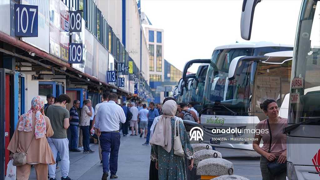 Haziranda fiyatı en fazla artan “kara yoluyla yolcu taşımacılığı”, en çok düşen “patates” oldu