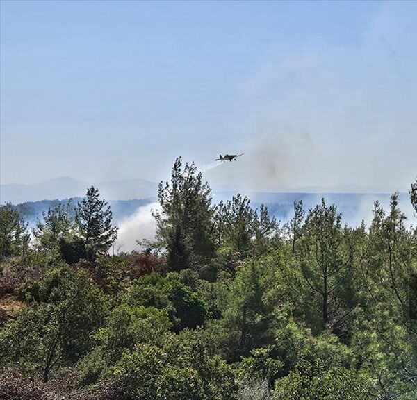 Çanakkale’nin Eceabat ilçesindeki orman yangınına müdahale ediliyor