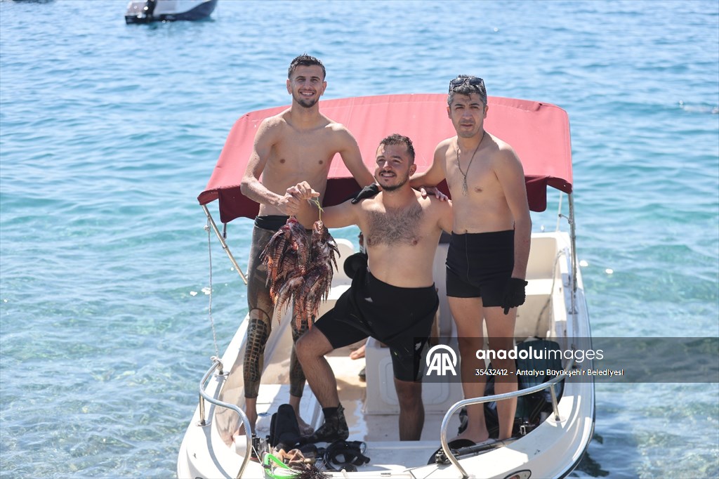 Antalya’da “Aslan Balığı Avlama Yarışması” düzenlendi