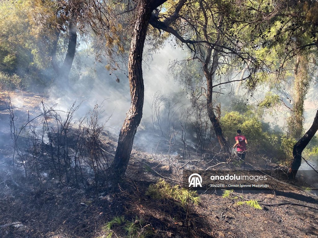 Antalya’da çıkan orman yangını söndürüldü