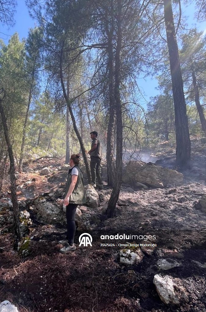 Burdur’da çıkan orman yangını söndürüldü