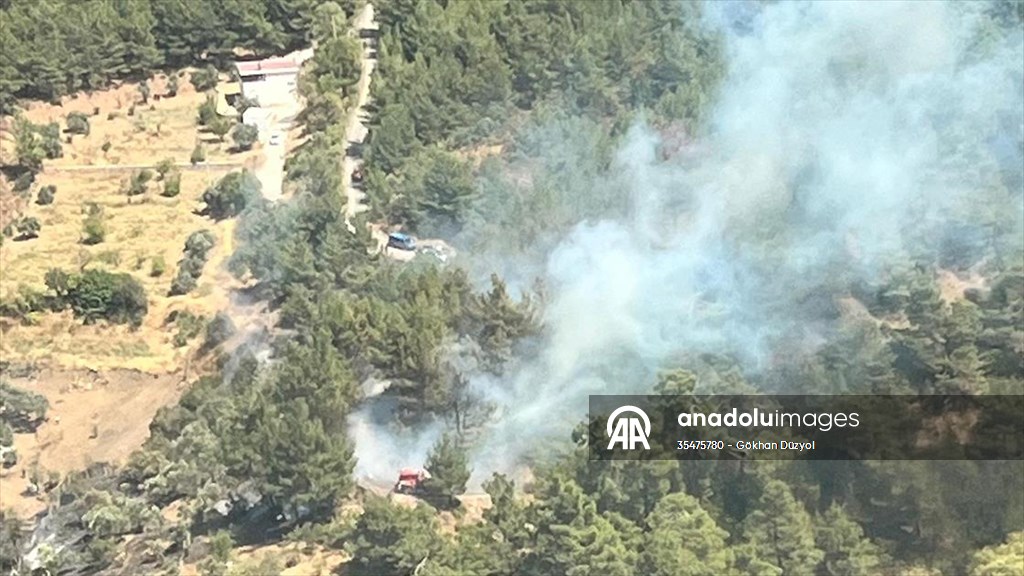 İzmir Kemalpaşa’da çıkan orman yangını kontrol altına alındı