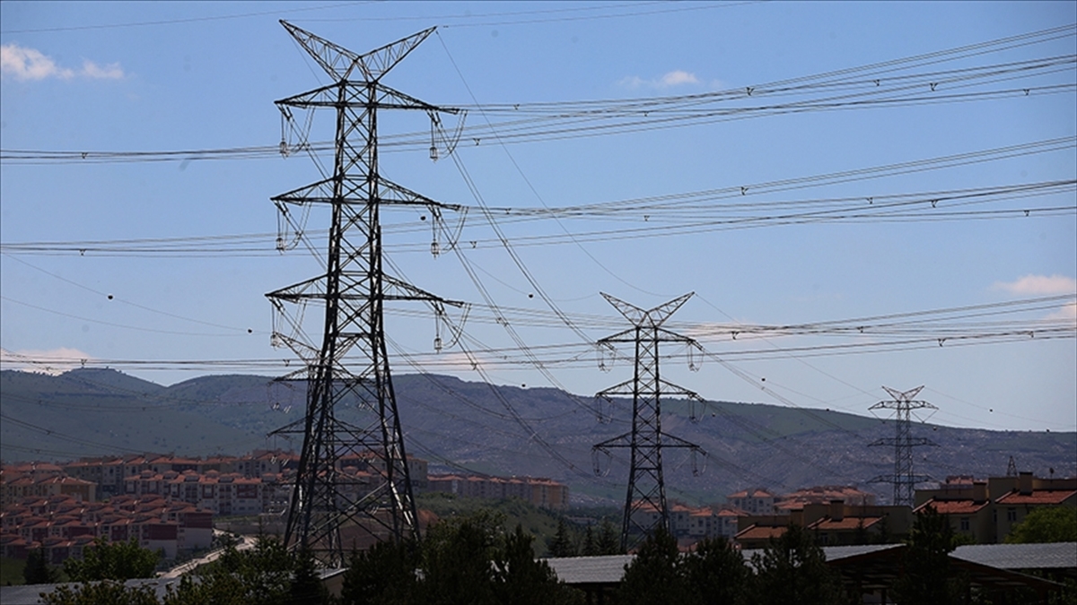 Temmuzda fiyatı en fazla artan ürün “elektrik”, en çok düşen “patates” oldu