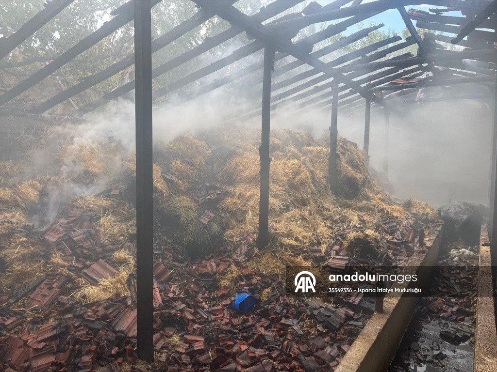 Isparta’da besihanede çıkan yangında 5 kişi yaralandı, 3 hayvan telef oldu
