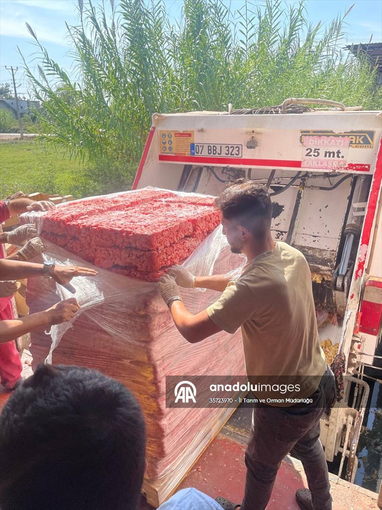 Antalya’da 17 ton bozuk tavuk ürünü imha edildi
