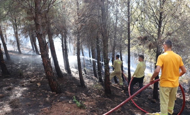 Hatay’da ormanlık alanda çıkan yangın söndürüldü