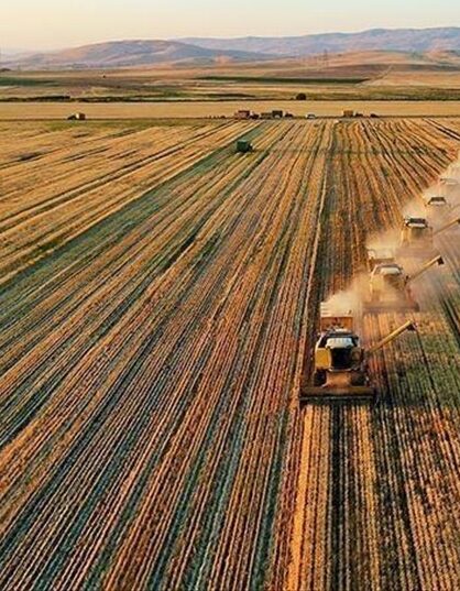 Çiftçilere 185,8 milyon liralık tarımsal destekleme ödemesi yapıldı