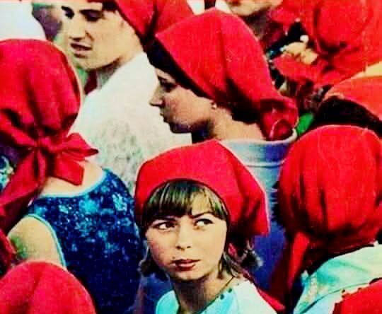 YAŞASIN 1 MAYIS! Yazar Himmet Cansız