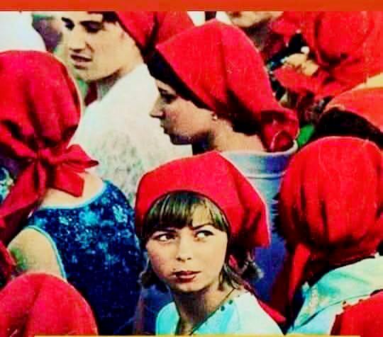 YAŞASIN 1 MAYIS! Yazar Himmet Cansız