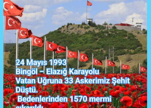 33 Askerimizin bedeninden toplam 1570 mermi çıkarıldı