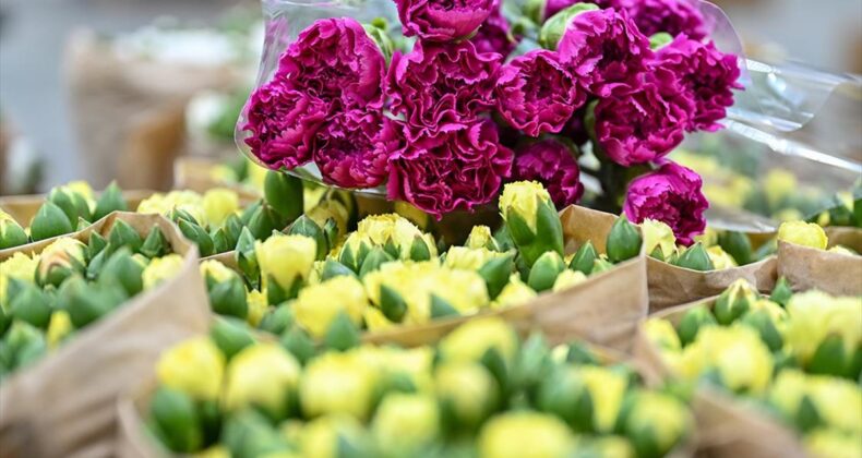 Çiçek sektörü, ihracatı artırmak için dünyayı dolaşıyor