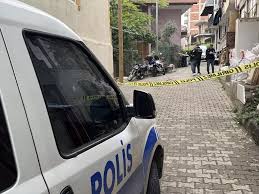 Kardeşini Tüfekle Öldürdüğü İddiasıyla Tutuklandı