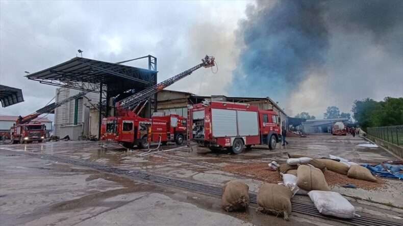 Sakarya’da fındık kırım fabrikasında yangın