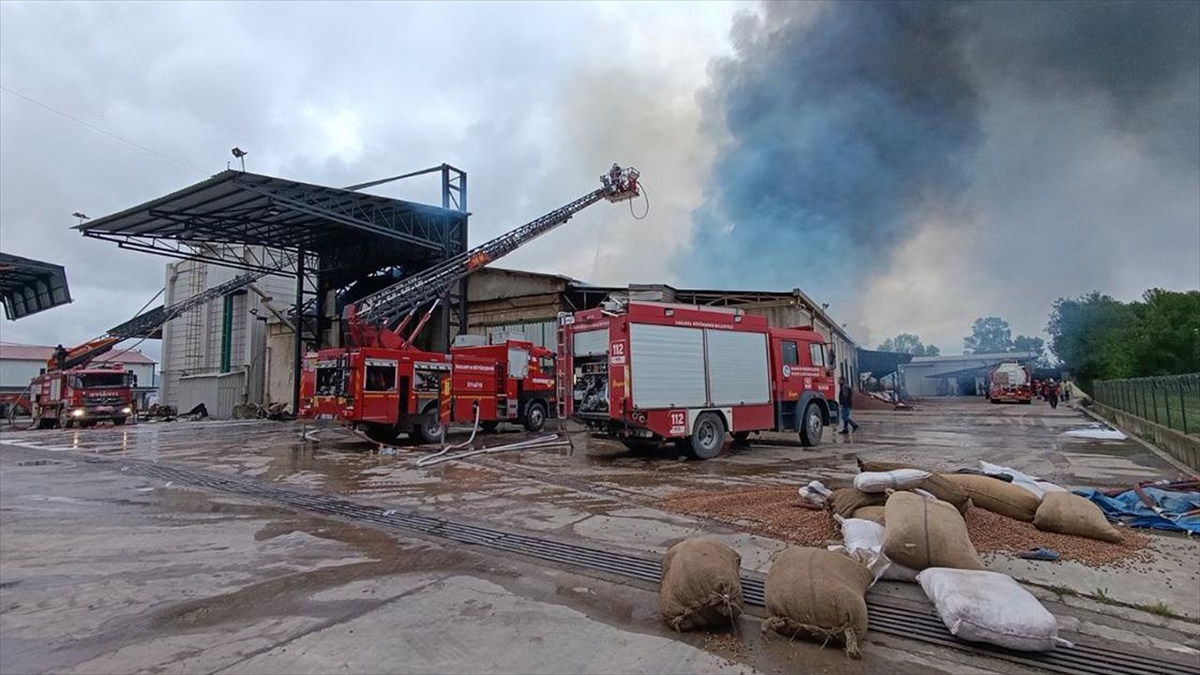 Sakarya’da fındık kırım fabrikasında yangın