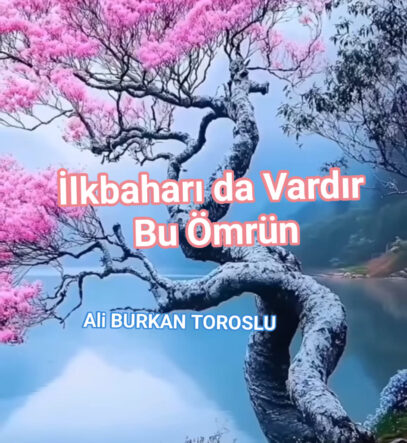 kalpgazetesi.com-Ali Burkan