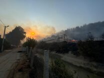Antalya’da çıkan 2 ayrı yangın, rüzgarın etkisiyle kısa sürede büyüdü
