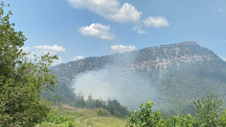 kalpgazetesi.com-Bilecik'te çıkan orman yangını söndürüldü
