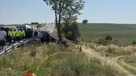Direksiyon hakimiyetini kaybeden şoför ağaca çarptı 5 kişi hayatını kaybetti, 1 kişi yaralandı