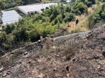 Kontrol altına alınan Antalya- Kumluca’daki yangında 5 hektar alanın zarar gördüğü bildirildi