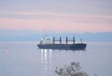 C-Port önünde karaya oturan 190 metre boyundaki Pangeo isimli dökme yük gemisi