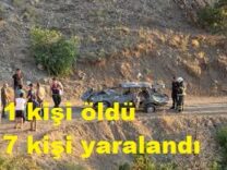 Pozantı da uçuruma yuvarlanan otomobildeki 1 kişi öldü, 7 kişi yaralandı