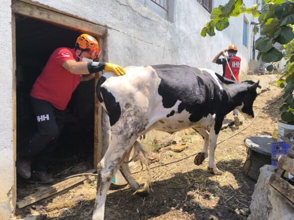 kalpgazetesi.com-Alevlere teslim olan Antalya'da bazı evler boşaltıldı
