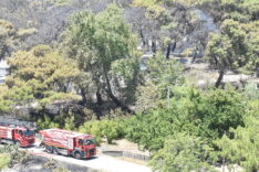 Son dakika: Antalya Lara’da çıkan orman yangınına müdahale ediliyor