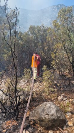 kalpgazetesi.com-Antalya'nın Kaş ilçesinde çıkan orman yangını kontrol altına alındı