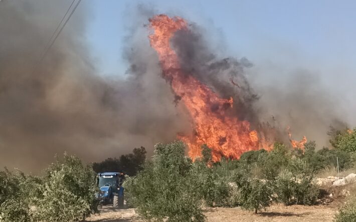 Bursa'da orman yangınında sönen noktalarda alevler tekrar hareketlendi