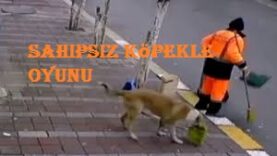 Sahipsiz Köpekle Oyunu