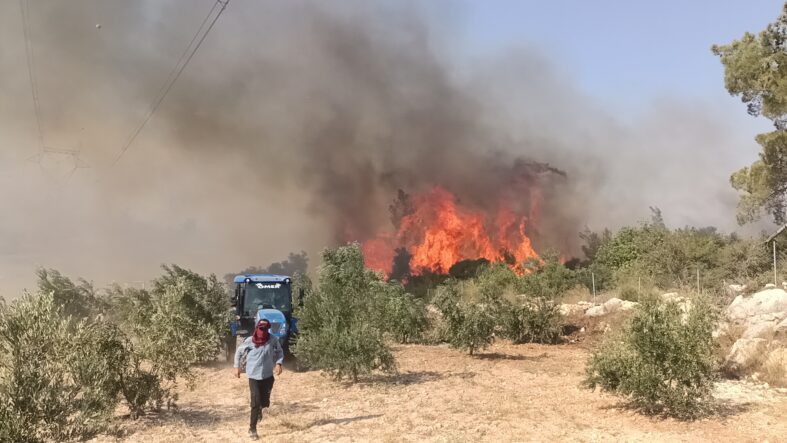 kalpgazetesi.com-Mersin'in Silifke ilçesinde çıkan orman yangınına müdahale ediliyor