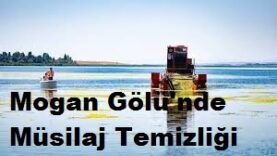 Mogan Gölü’nde müsilaj temizliği