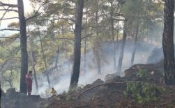 Sakarya’da ormanlık alanda çıkan yangın Bilecik tarafına sıçradı 