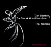 Güneş Varsa, Gölge de Vardır – Güldane Kaya Kaçar