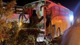 Yolcu otobüsünün ağaçlara çarptı 1 kişi öldü 13 kişi yaralandı