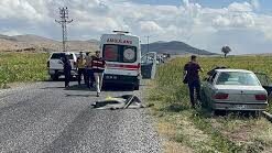 kalpgazetesi.com- Komşular arasında çıkan silahlı kavgada 2 kardeş öldü